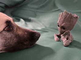 Avengers Groot-Figur als Topf (ohne Hund)