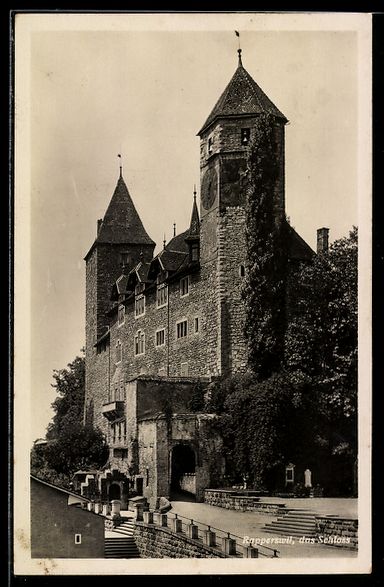 Cartes postales: AK Rapperswil, Schloss – D'occasion à Berlin par bartko-reher