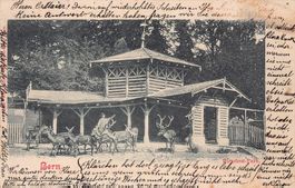 Bern, Hirschen-Park, Lichtbild gelaufen 1900