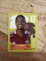 Panini QAT 11