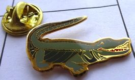 Pin Krokodil  Wasserechse