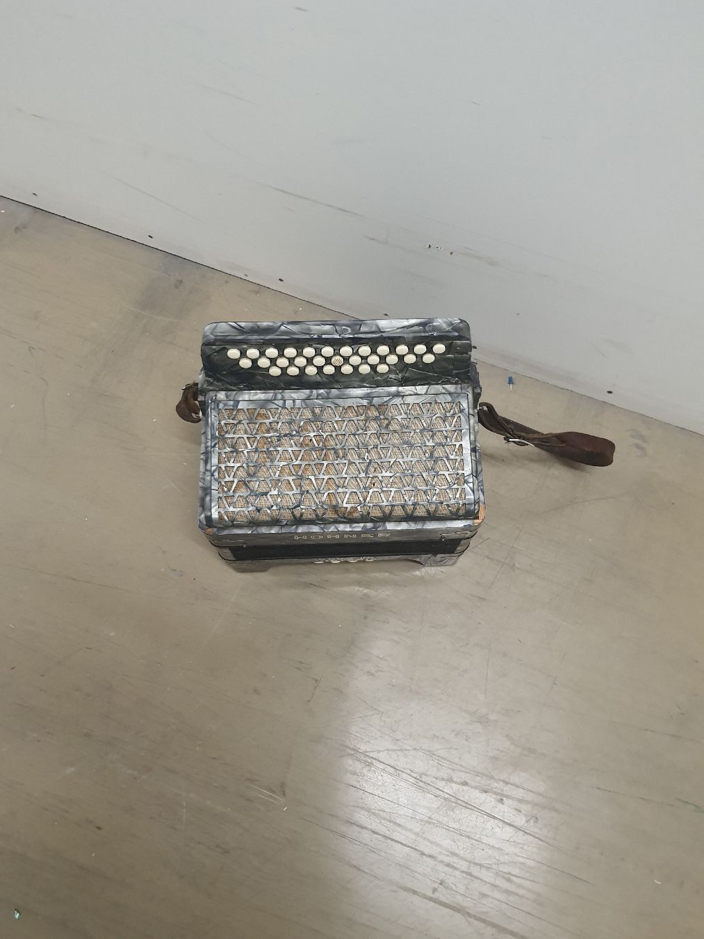 Hohner Strumenti musicali: accordéon hohner diatonique 8 basses – Usato da Pont-de-la-Morge venduto da Mirabelle0 6