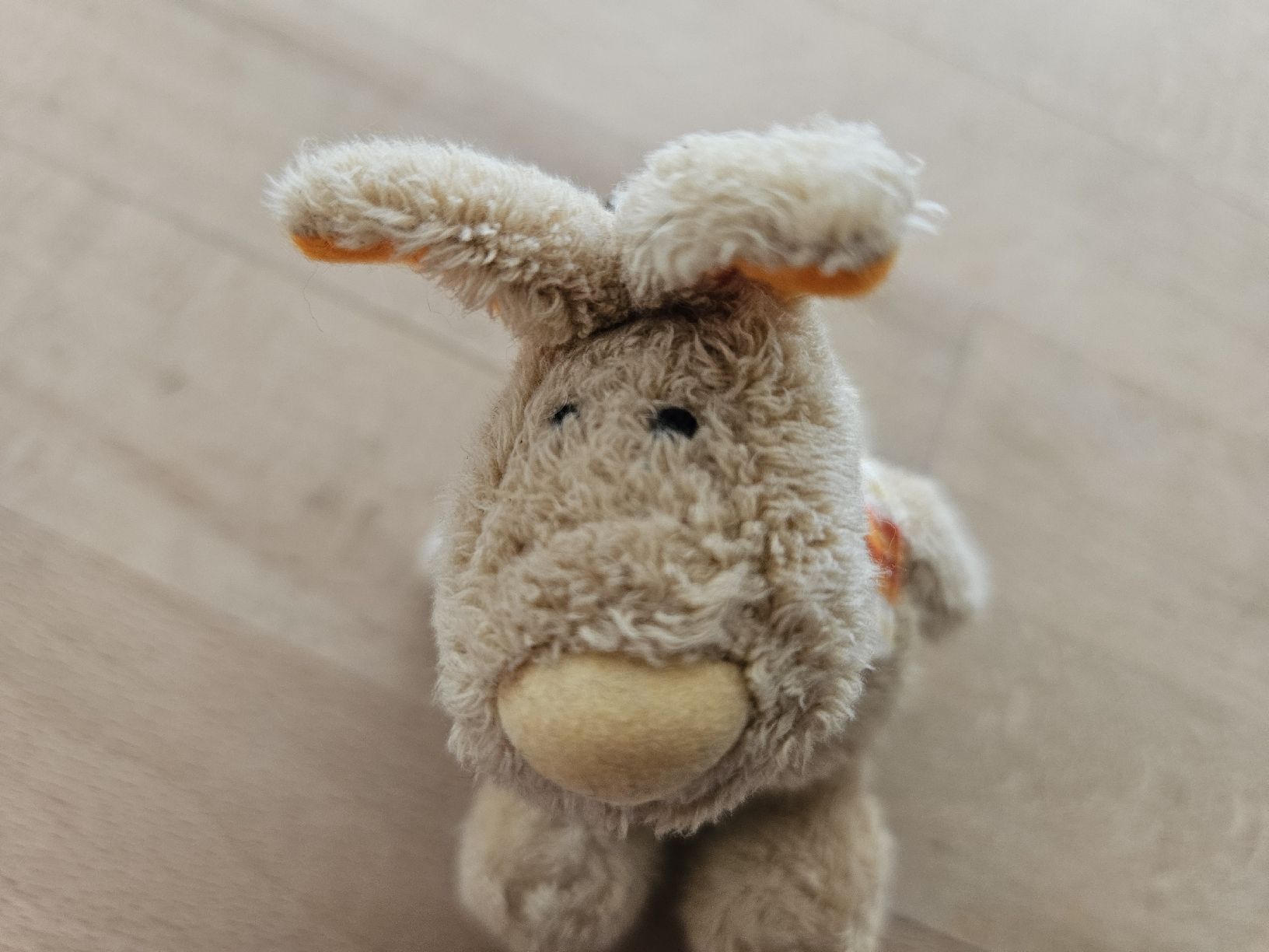 Portachiavi: Nici Hase – Nuovo (secondo la descrizione) da Wabern venduto da AnaBern 1