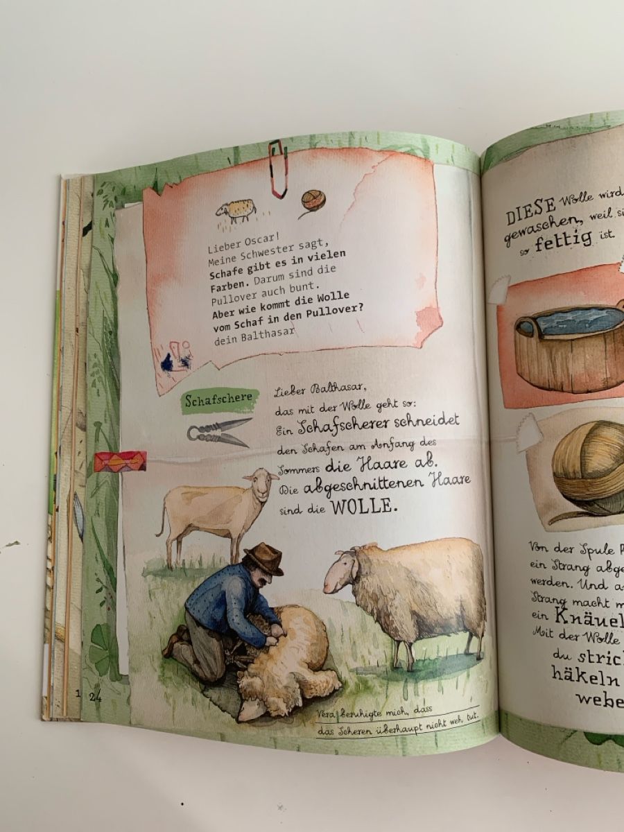 Libri: Vera Wolle ist ein Schaf Tivola – Nuovo (secondo la descrizione) da Ebikon venduto da phi_kjk8 2