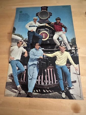 BEACH BOYS BRIAN WILSON 1.7 kg Berichte + Poster 60's Kult