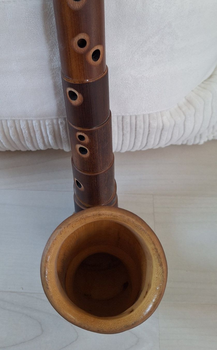 Strumenti musicali: Bambus Saxophon – Usato da Russikon venduto da Mochx 1
