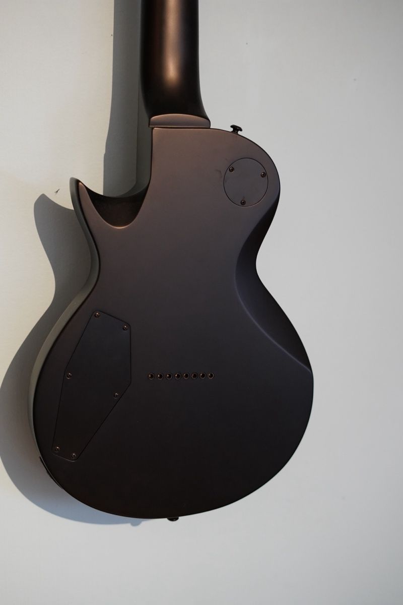 Esp Strumenti musicali: LTD EC-258 E-Gitarre – Nuovo (secondo la descrizione) da Grenchen venduto da ale_yv26 4