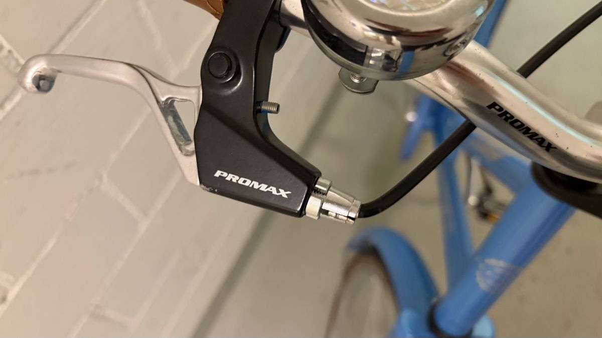 Totem Velos: Fahrrad/Damenrad Singlespeed, Modell Totem Classic – Gebraucht aus Hinwil von MattyT17 4