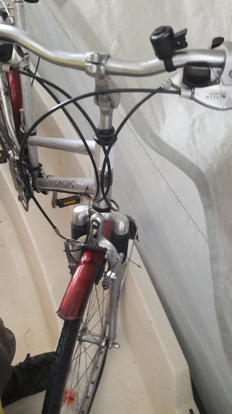 Biciclette: Velo Pegasus – Usato da Laufen venduto da Mann455 8
