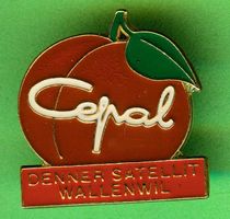 Denner Satellit  WALLENWIL