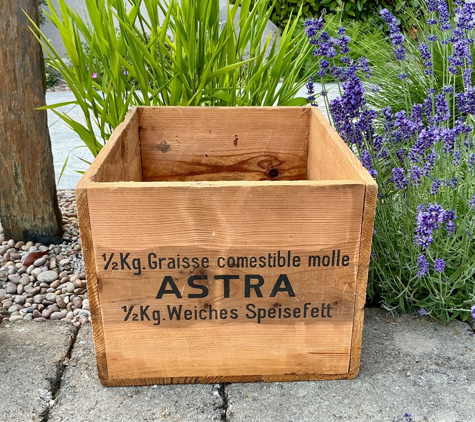 Casse di trasporto: ALTE ASTRA HOLZKISTE – Usato da Zell LU venduto da Silvermemory 2