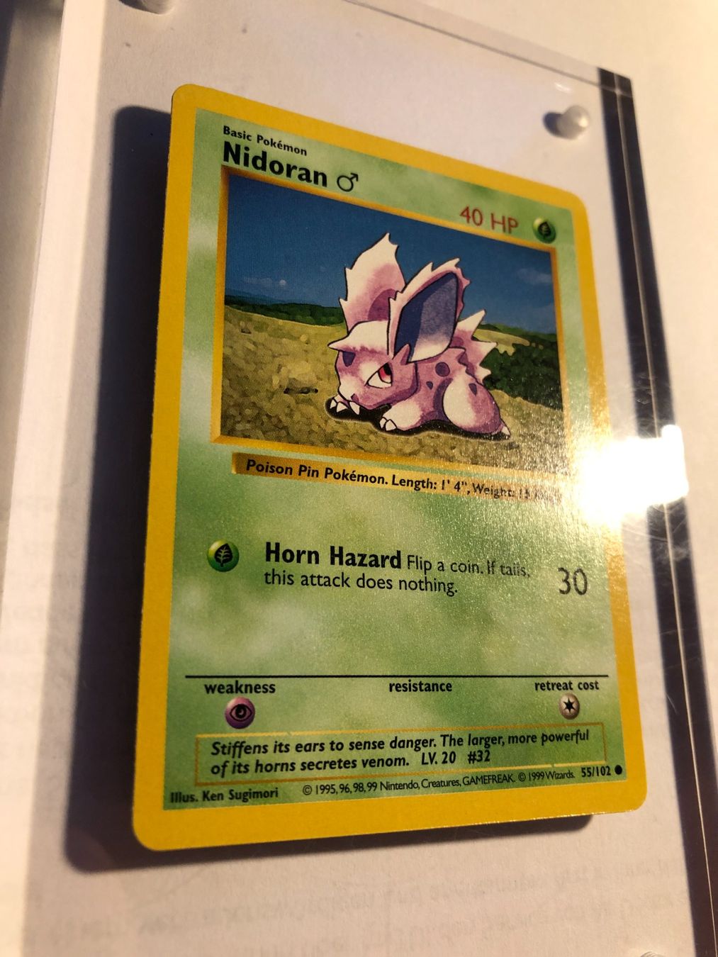 Sammelbilder & Trading cards: Nidoran Base Set Shadowless - MINT - ab 1.- – Gebraucht aus Giubiasco von dan_pr8b 1