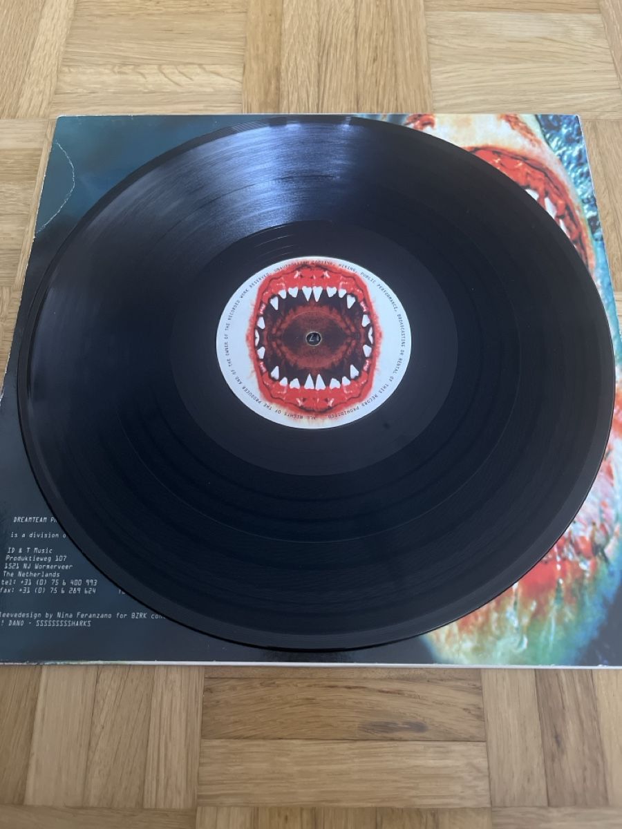 Dischi in vinile: DJ Buzz Fuzz Hardcore / Gabber Vinyl – Usato da Wangen b. Olten venduto da break72 3