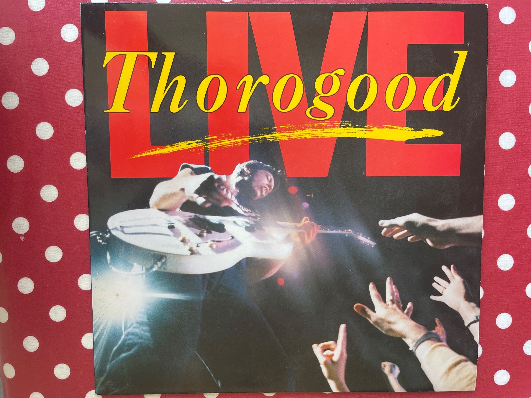 Dischi in vinile: A514/George Thorogood - Live – Usato da Frutigen venduto da Philippe_jsp