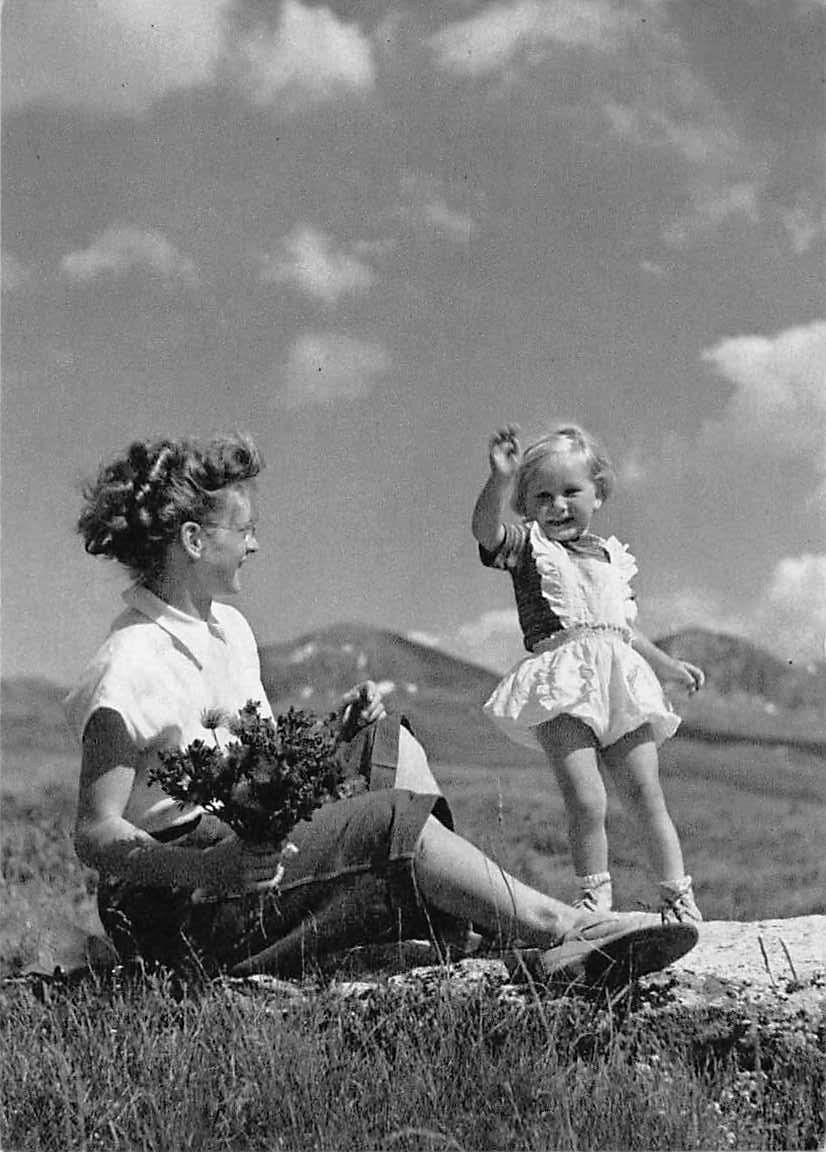 Ansichtskarten: 2 MILITÄR-Spendenkarten 1955, selten ** – Gebraucht aus Lufingen von TopAnsichtskarten 2