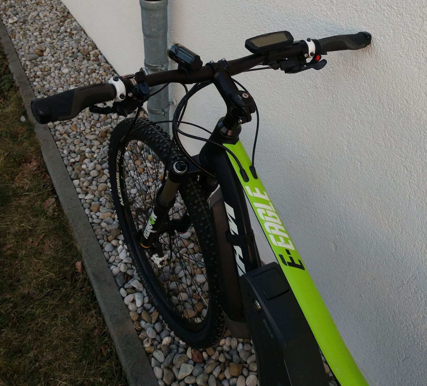 Wheeler Biciclette: Wheeler E-Eagle 29" Bionx D E-MTB Gr. M-L Pedelec E-bike – Usato da Zürich venduto da ElenaTT 5