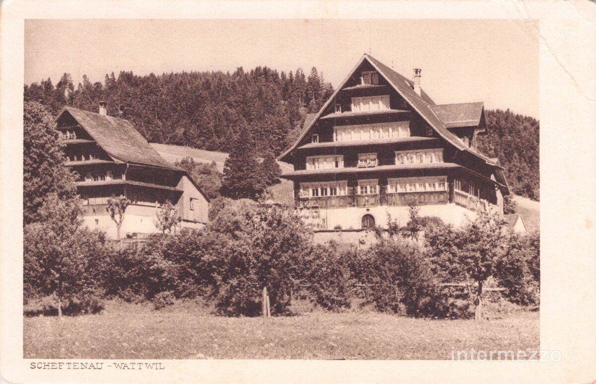 Cartoline postali: Wattwil SG // 1919 Scheftenau – Usato da Basel venduto da intermezzo12