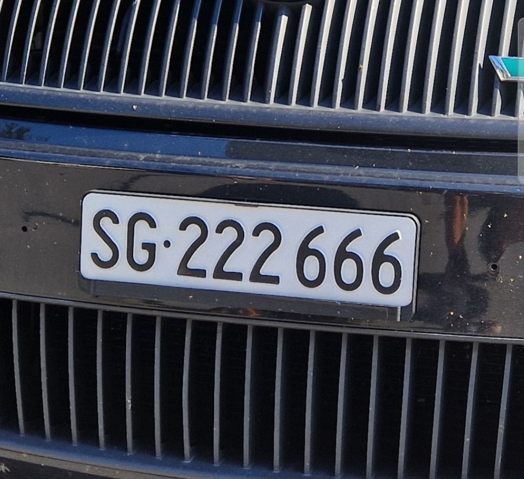 Insegne: Autonummer Kontrollschild SG – Usato da Flums venduto da 19KIMA81 2