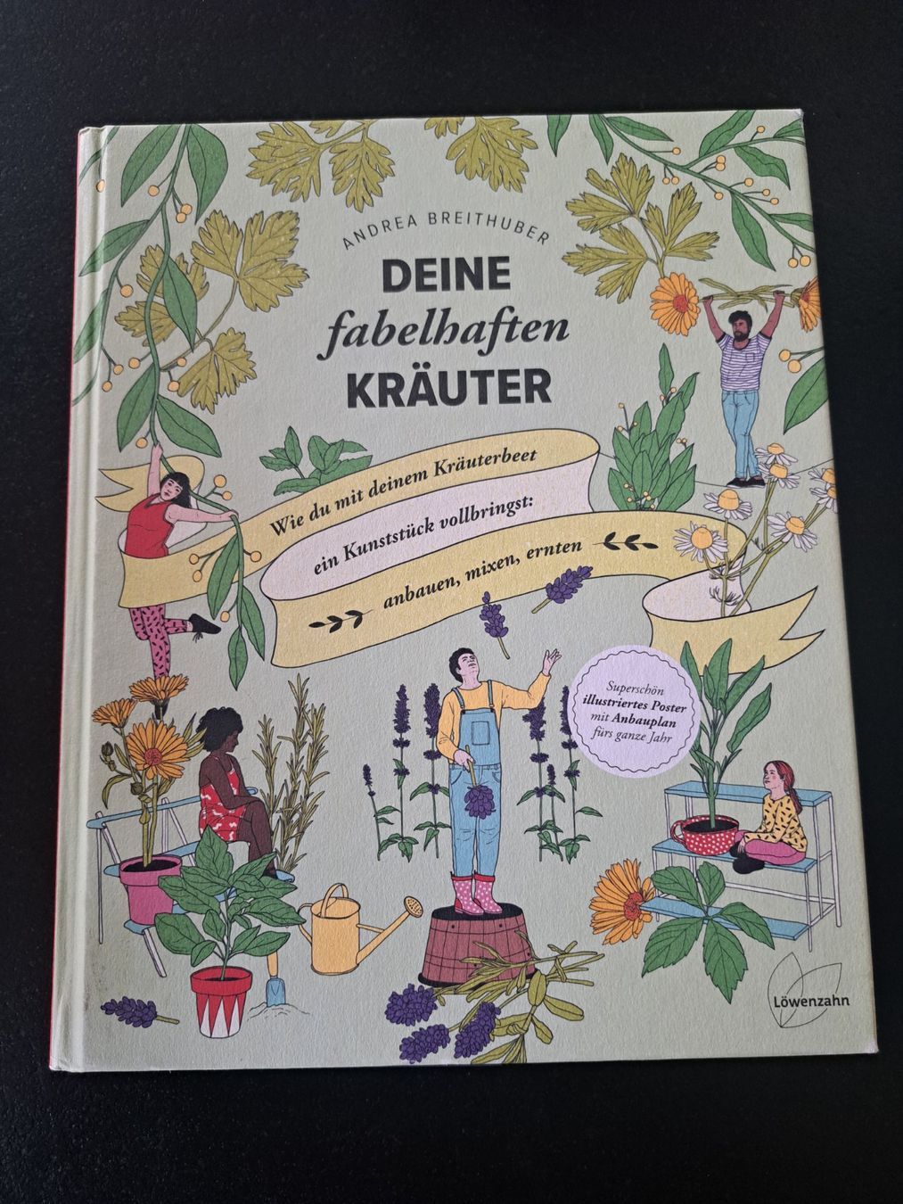 Libri: Deine fabelhaften Kräuter – Nuovo (secondo la descrizione) da Winterthur venduto da Pitschna88