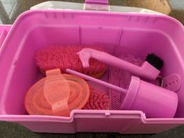 Coffret de pansage pour cheval avec brosses