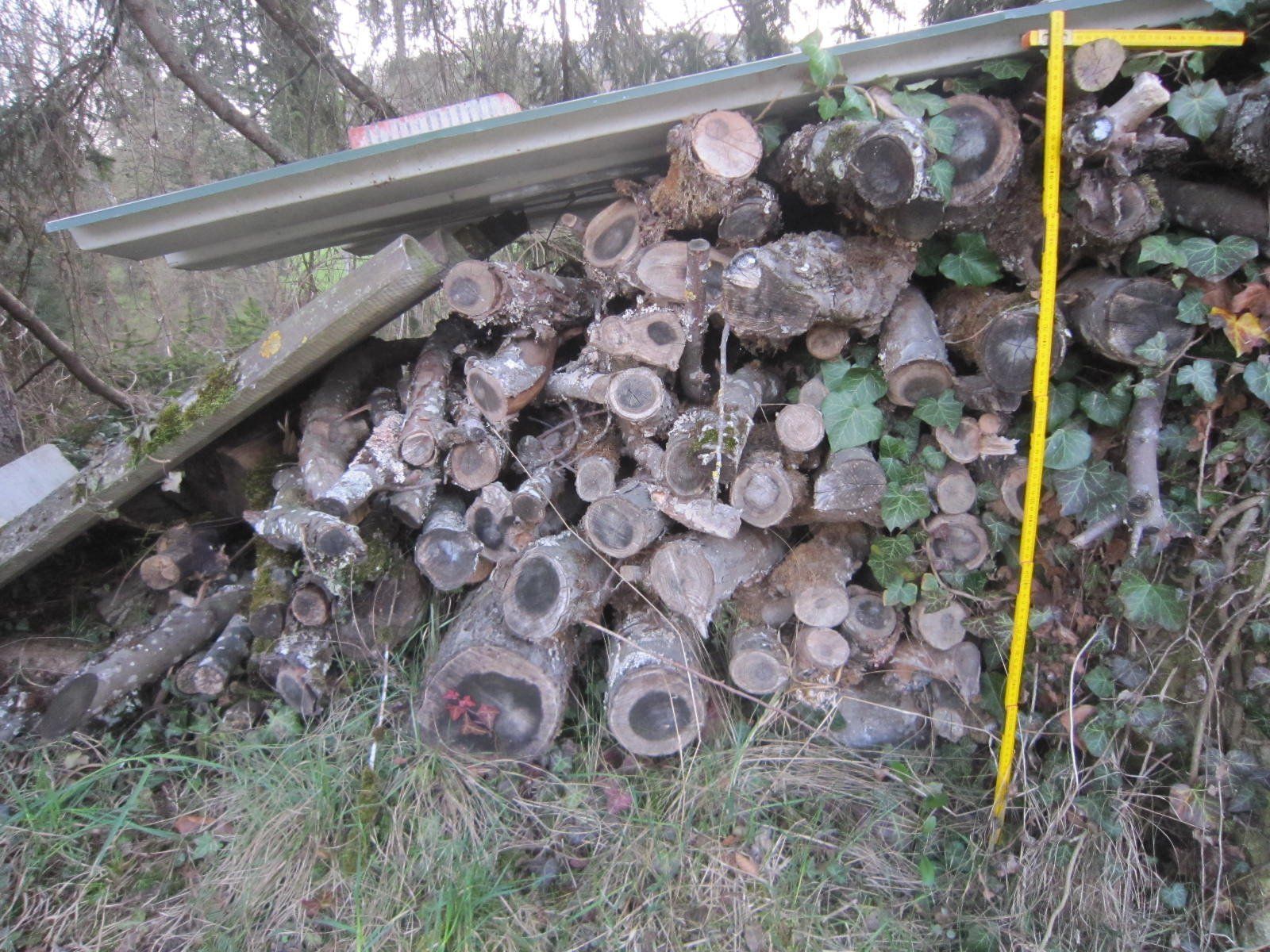 Articles en bois: Brennholz Apfelbaum – D'occasion à Böttstein par koehlerkafi