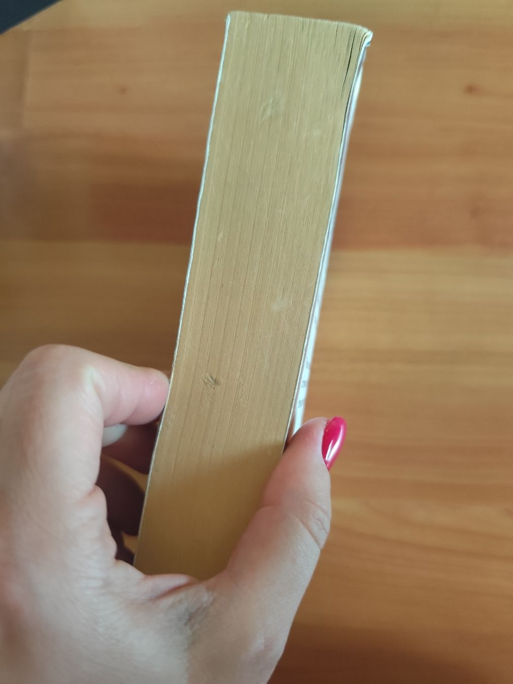 Libri: Assassin's Creed Renaissance Oliver Bowden  – Usato da Mägenwil venduto da VintageGirly 2