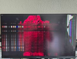 Defekt Philips 276C8 27" QHD Monitor