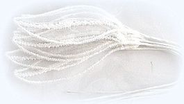 Spitzenblatt