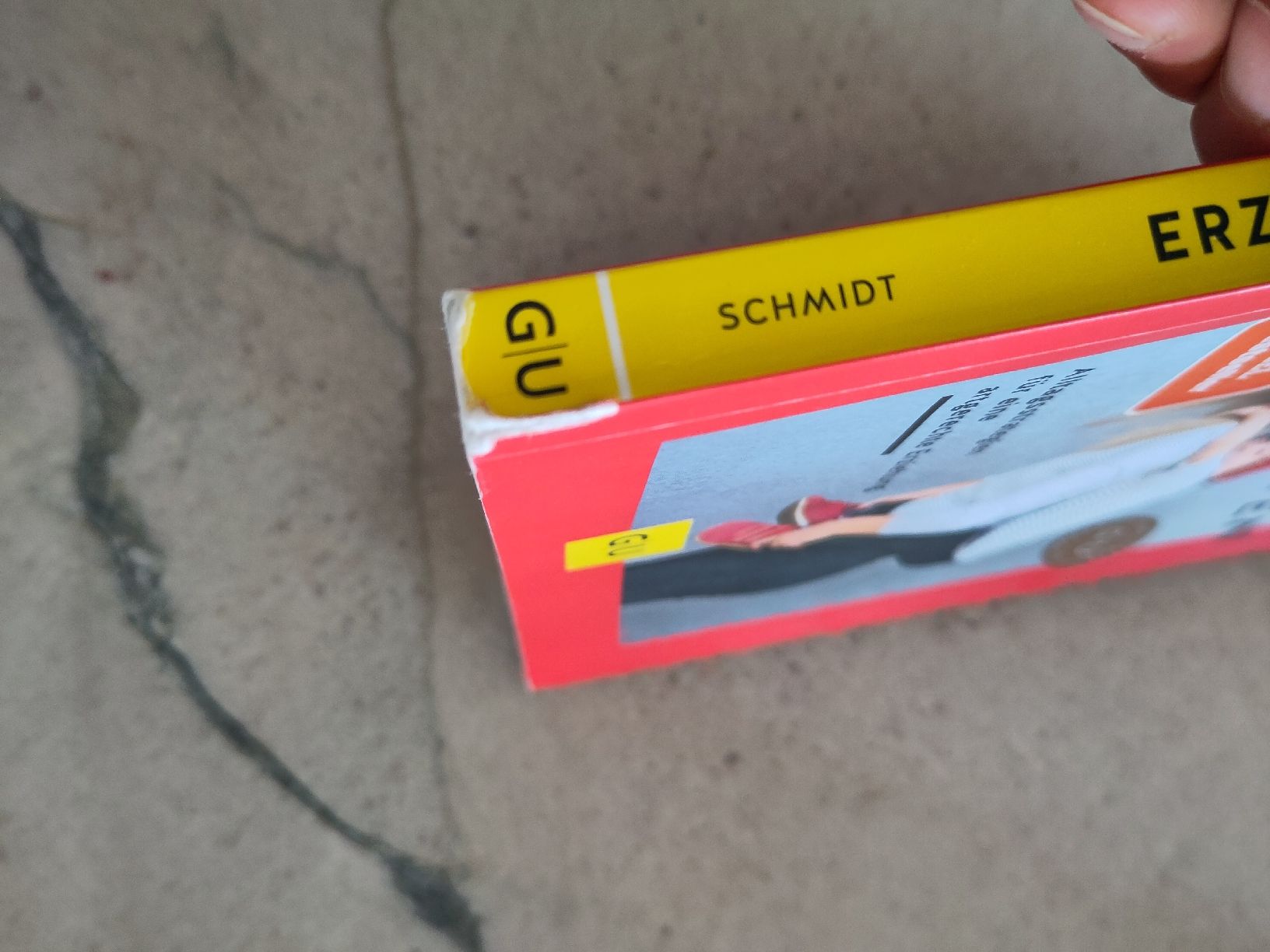 Libri: Erziehen ohne Schimpfen – Usato da Dettighofen Lengw. venduto da mai_75wt 2