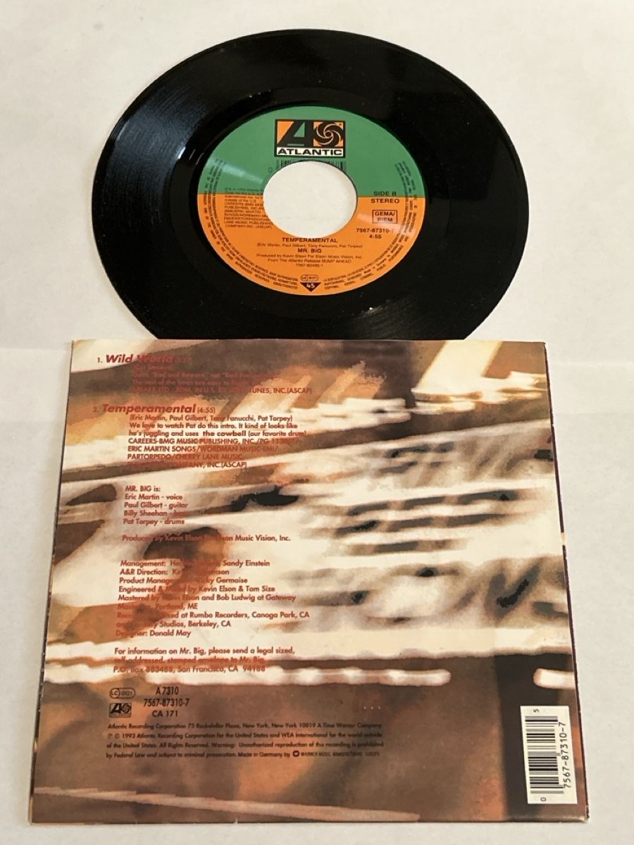 Dischi in vinile: Mr. Big. 1993. Wild World – Usato da Faulensee venduto da Mizuno06 1