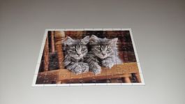 Katzen-Puzzle, 54 Teile, vollständig und sehr süss! 