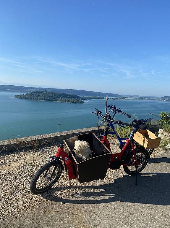 Biciclette: Cargobike Isy – Usato da Erlach venduto da Dehler0