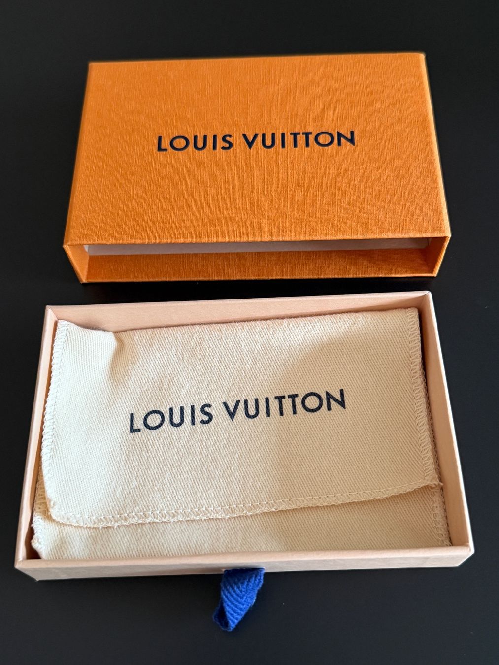 Louis Vuitton Sonstige Dekorationen & Accessoires: Louis Vuitton Box mit Staubbeutel – Gebraucht aus Kriens von Cyprinuscarpio