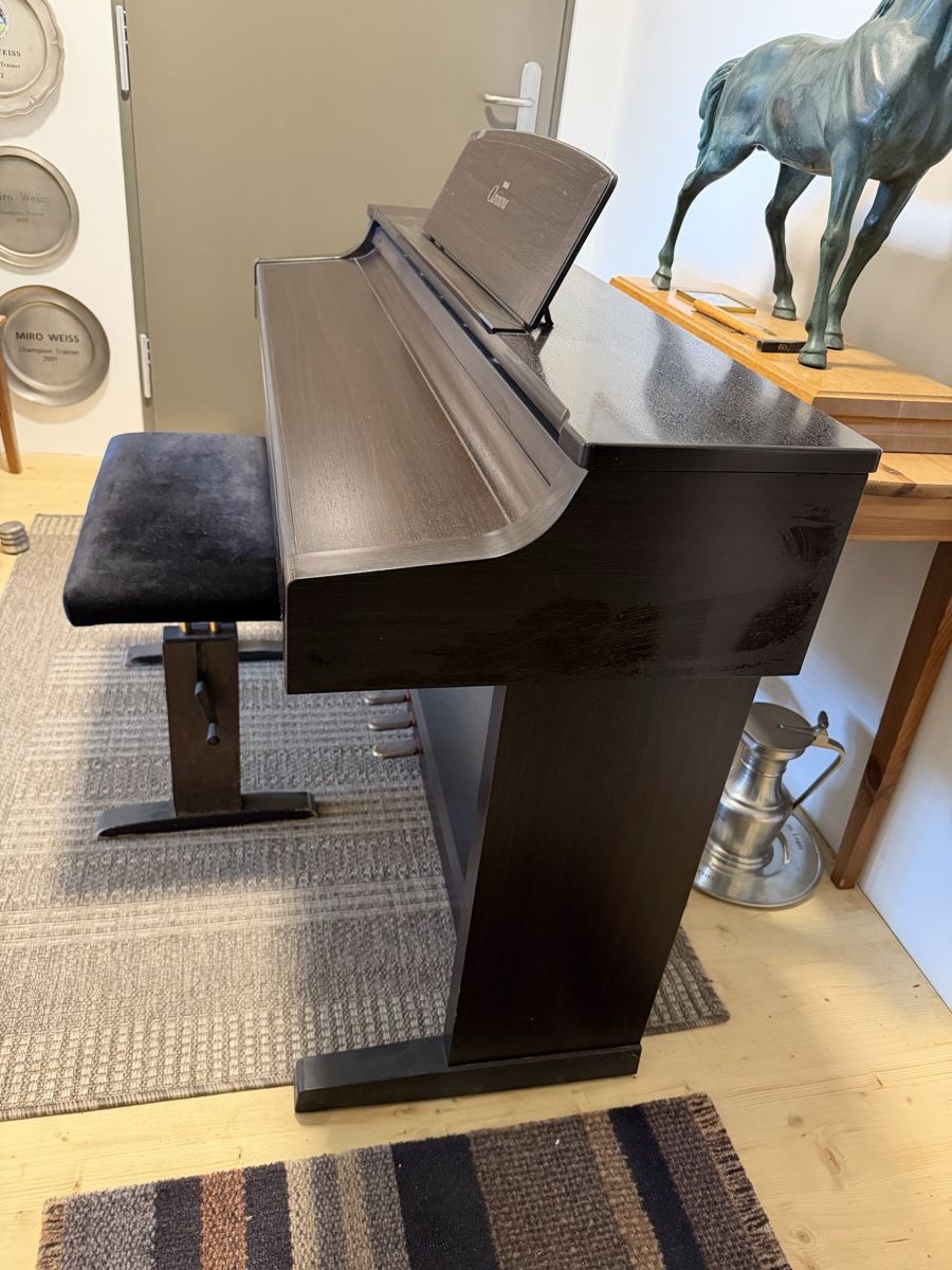 Yamaha Strumenti musicali: E-Piano Yamaha Clavinova – Usato da Oberwil-Lieli venduto da Ricardo_r323 3