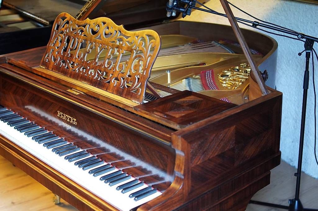 Strumenti musicali: Flügel Pleyel 160 – Usato da Küttigen venduto da PianoSarbach 4