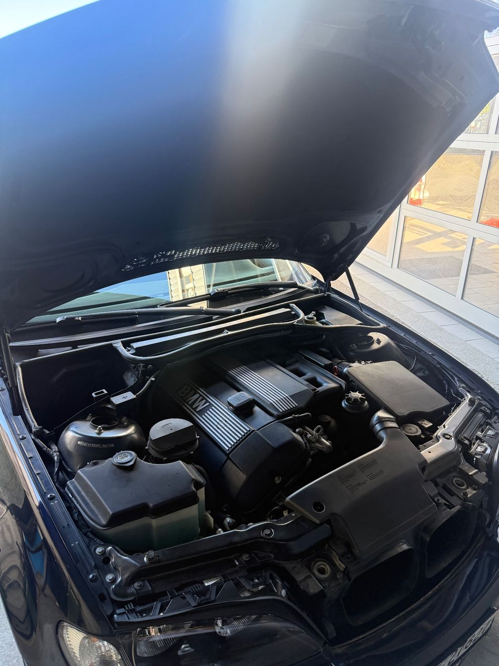 BMW Automobili: BMW 325i E46 l Frisch Mfk – Usato da Horboden venduto da pexo 5