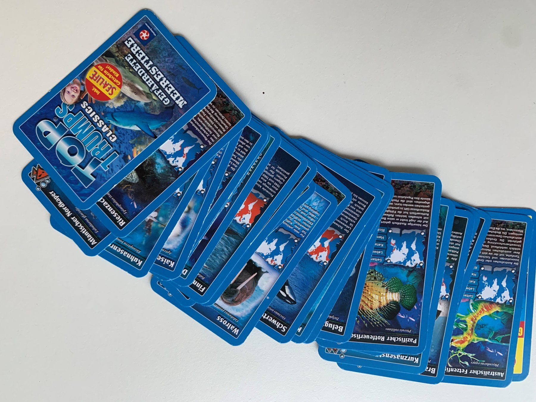 Giochi: Quartett Top Trumps - Gefährdete Meerestiere – Usato da Ettingen venduto da Flatwhite 2