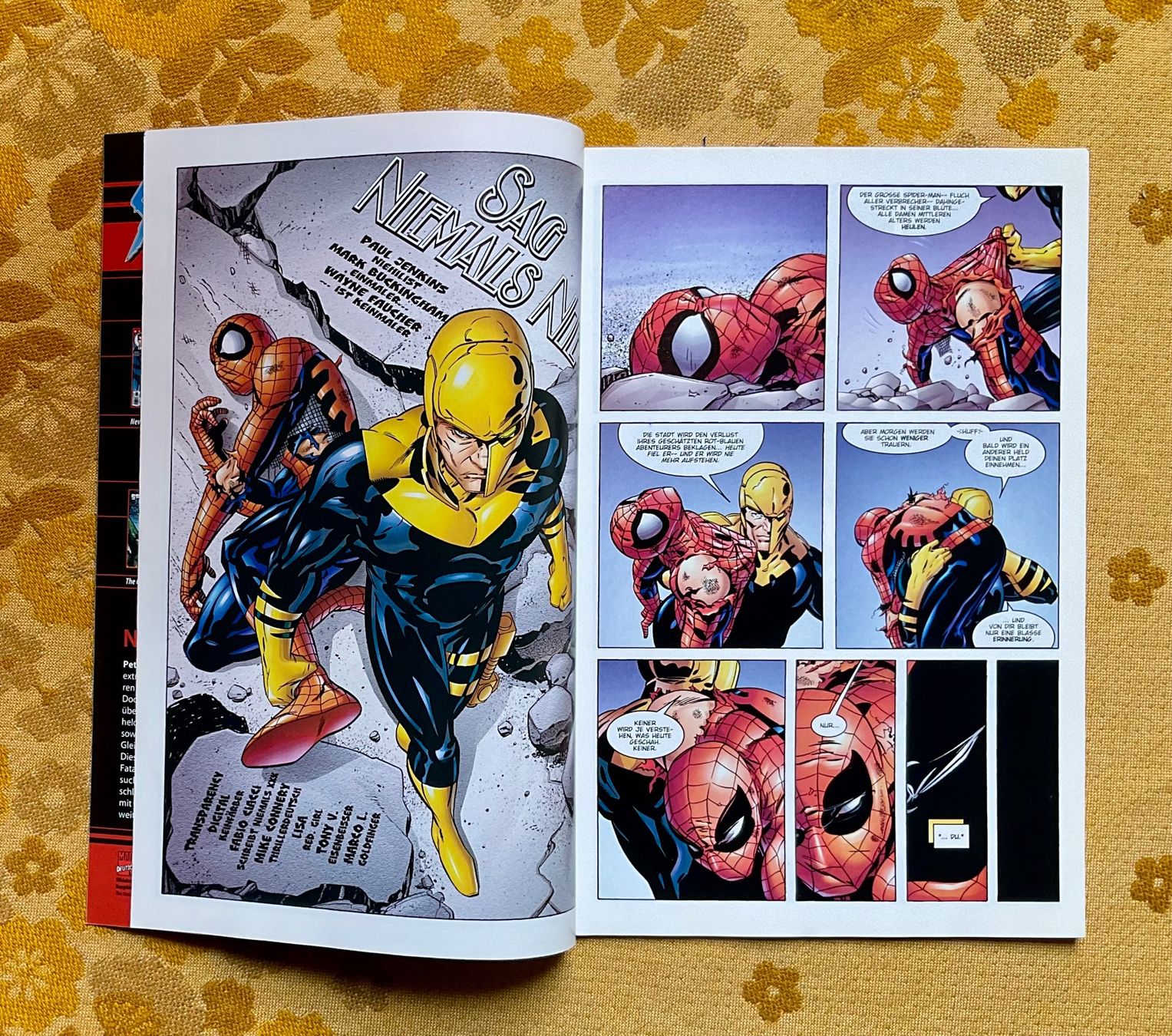 Fumetti: Peter Parker Spider-Man Heft Nr 19 von 2002 – Usato da Endingen venduto da nathan05 2