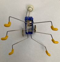 OAHACA - KIKKERLAND - PULL STRING - Mechanische Kreatur