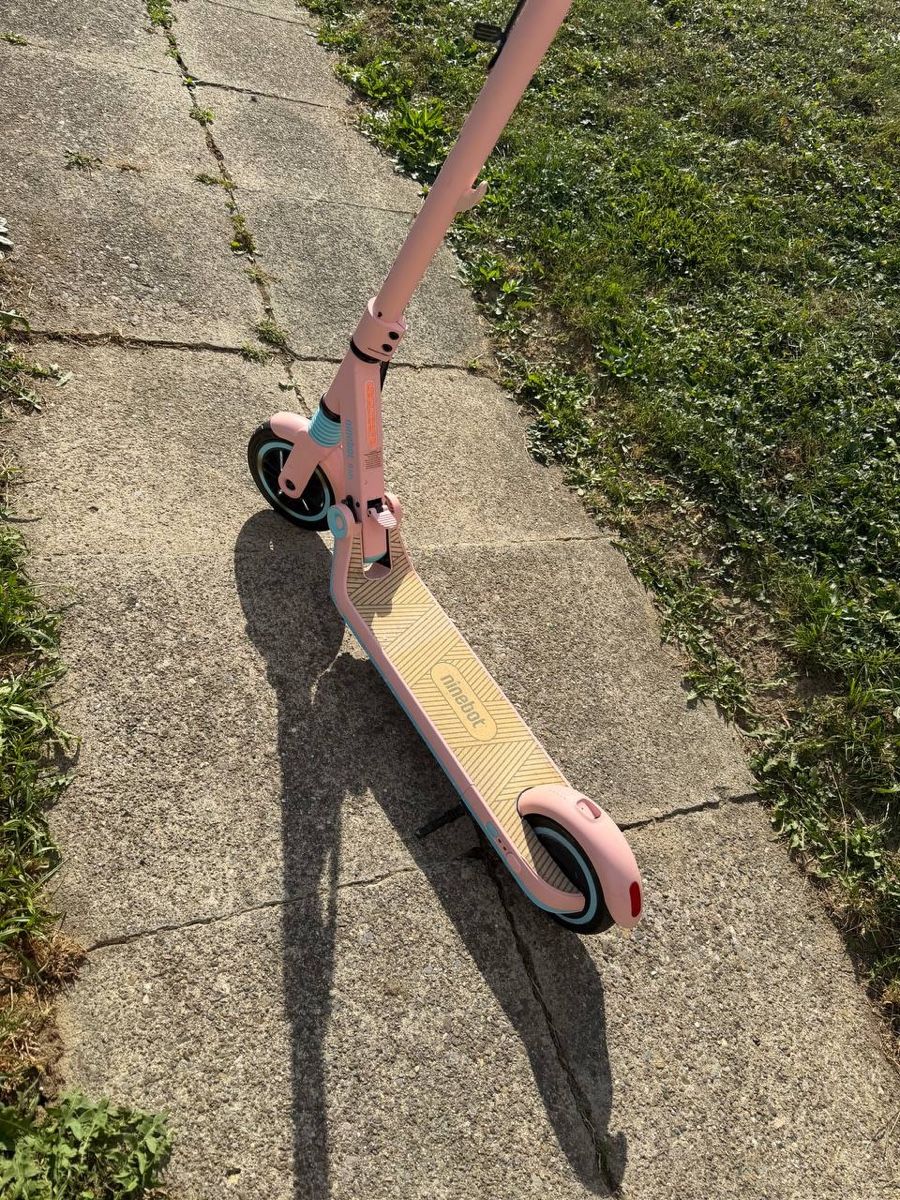 Scooter: Ninebot – Usato da Altstätten SG venduto da ali_f7vk 1