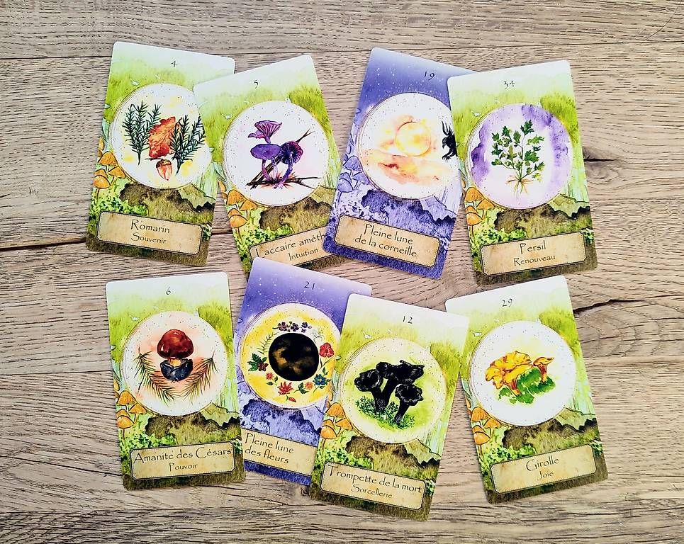 Giochi: Lot oracle des champignons neuf – Nuovo e nell'imballaggio originale da Yvonand venduto da rox_8y69 1