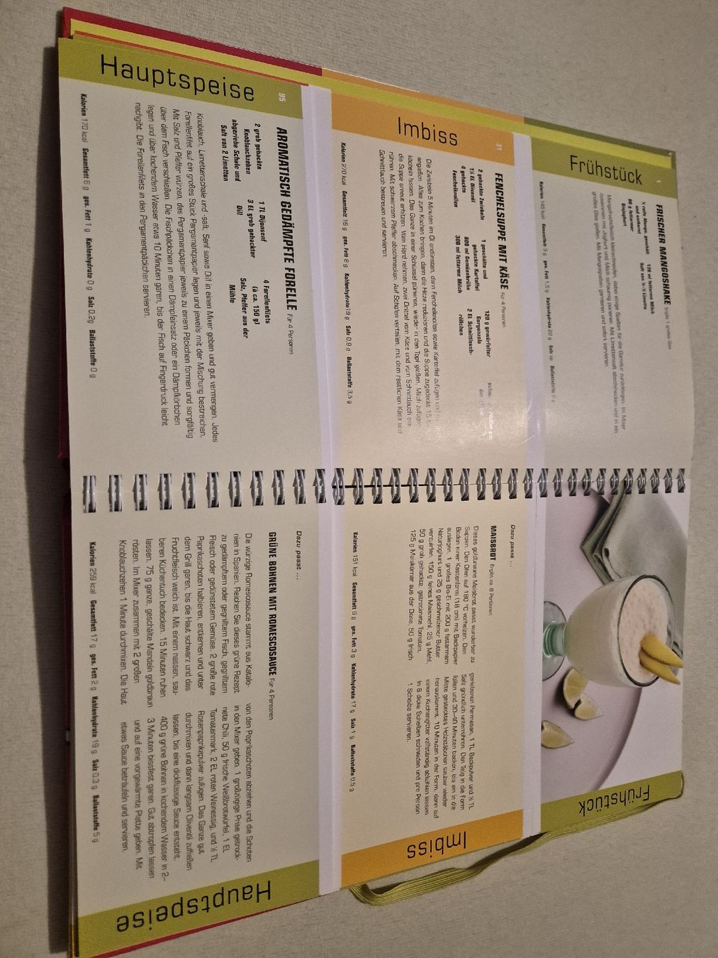Libri: Diätplaner "Der grosse Diätplaner" Ampelsystem – Usato da Samedan venduto da cavilam 2