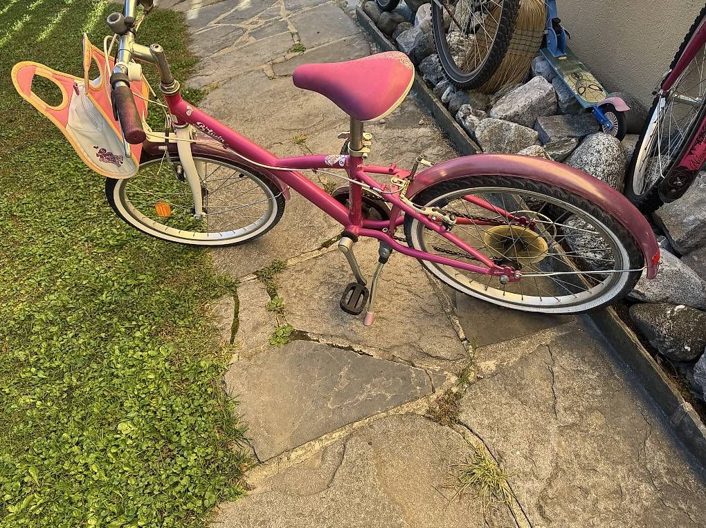 Biciclette: Ensemble des vélos  – Usato da sion venduto da manutoni 2