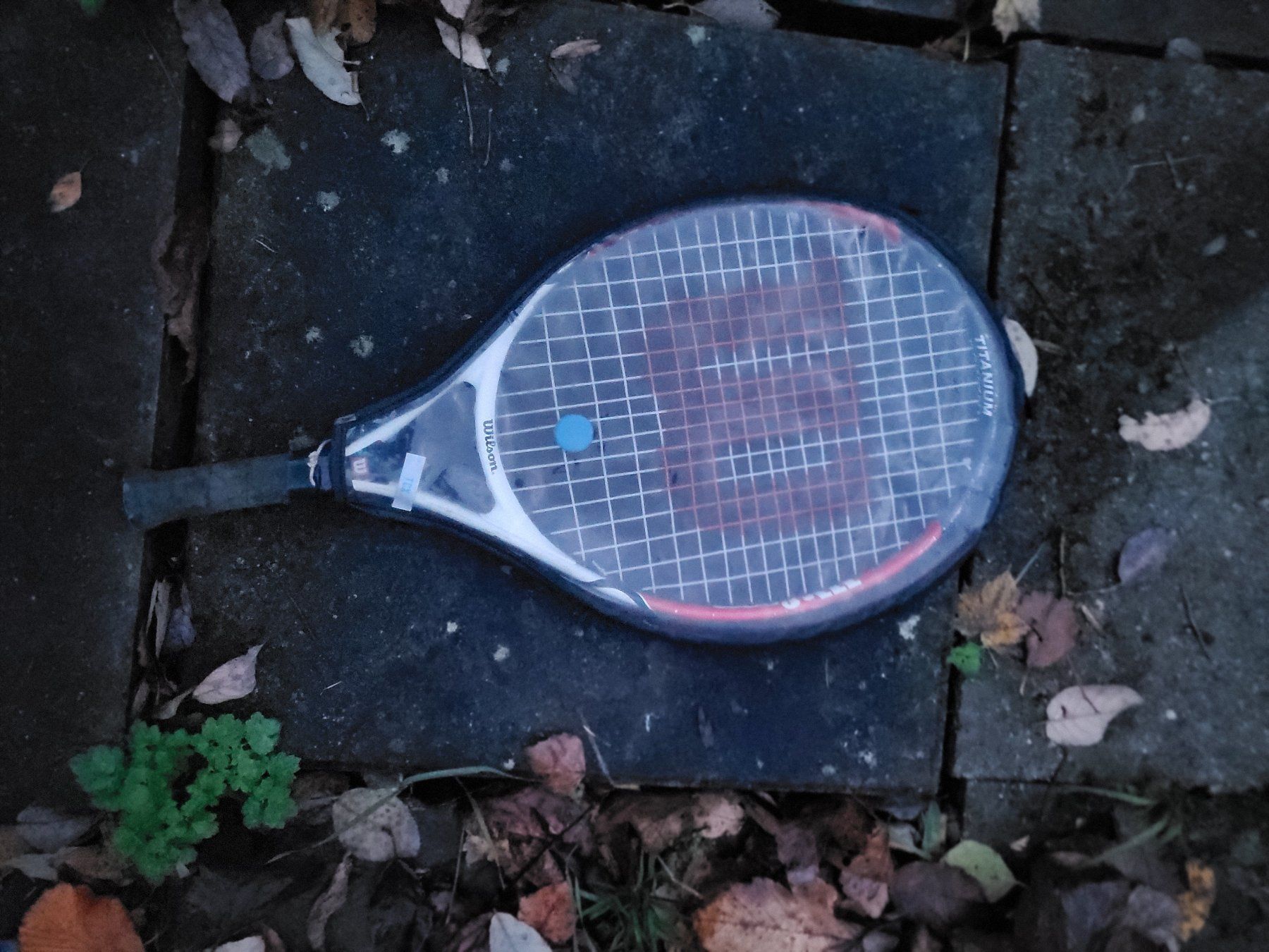 Wilson Schläger: Wilson Tennisschlssger Titanium, Top Zustand – Gebraucht aus Delémont von mvl_l76c 2