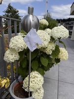 Garten Fackel Edelstahl Neu