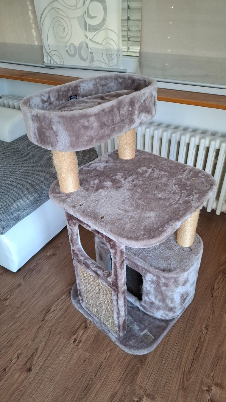 Tiragraffi: Katzenbaum – Usato da Weggis venduto da Manulea89