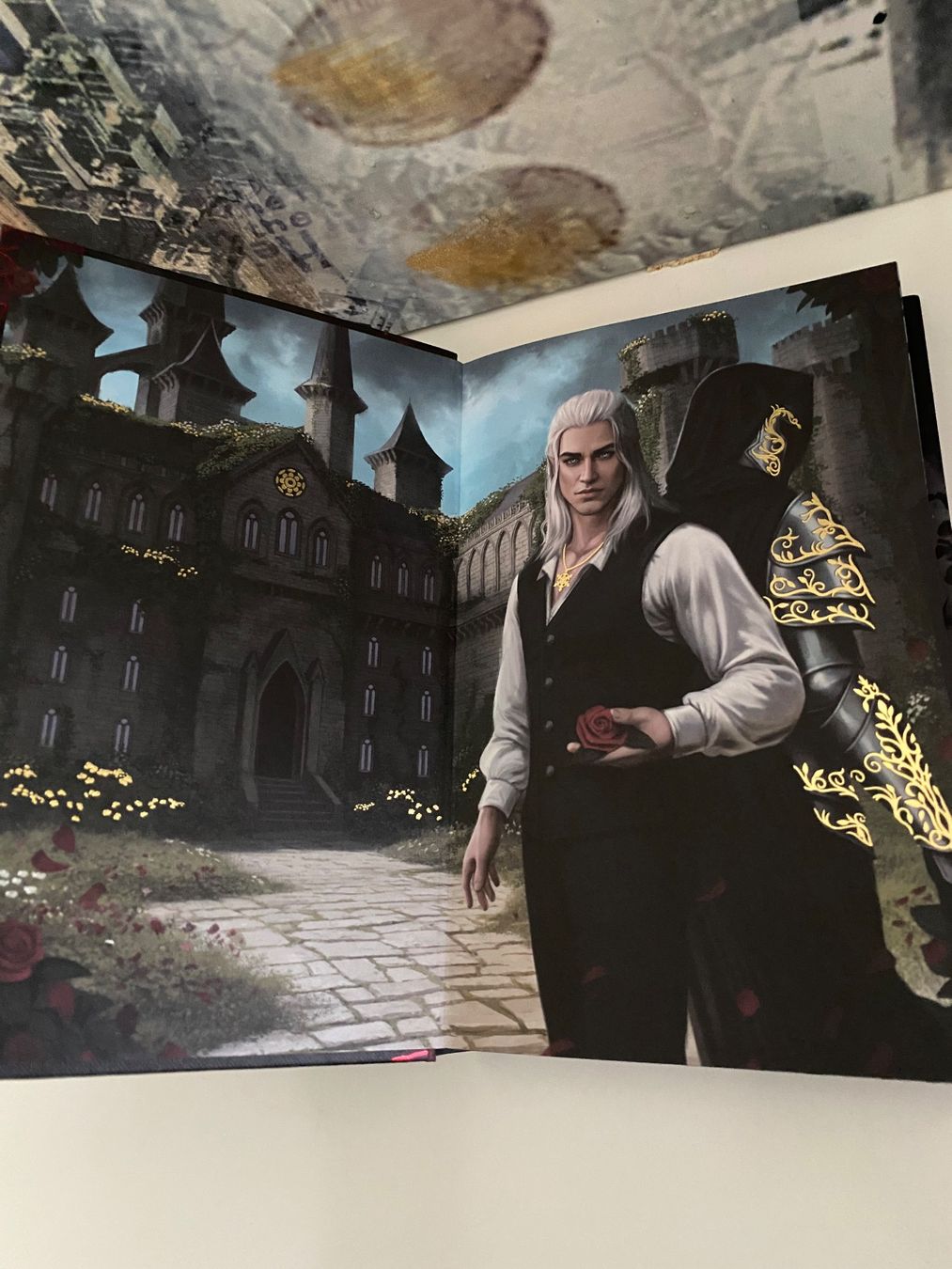 Bücher: Bonded by Thorns by Fairyloot – Neu (gemäss Beschreibung) aus Fällanden von Maxim20 3