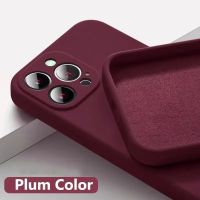 Handyhülle für iPhone 16 (Bordo) neu