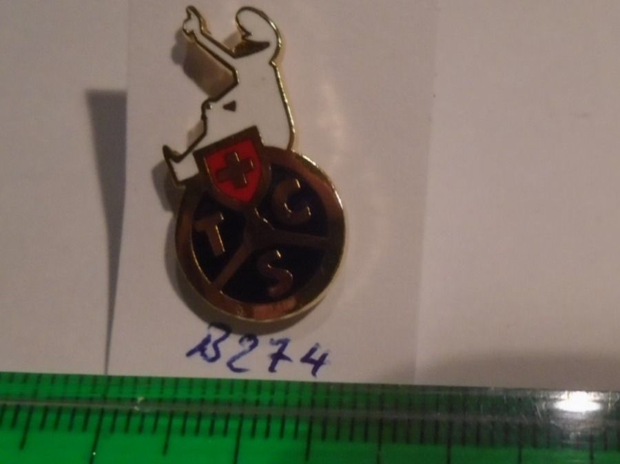 TCS Plaquettes & Badges: 1 TCS Pin (B274) – D'occasion à Winterthur par Beli2000