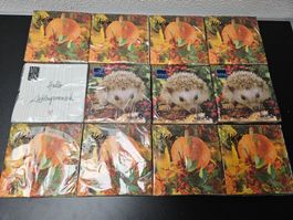 Neu - Servietten - 12 Packungen - 33cm x 33cm